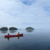 A̱ka̱la’s Response to Covid-19